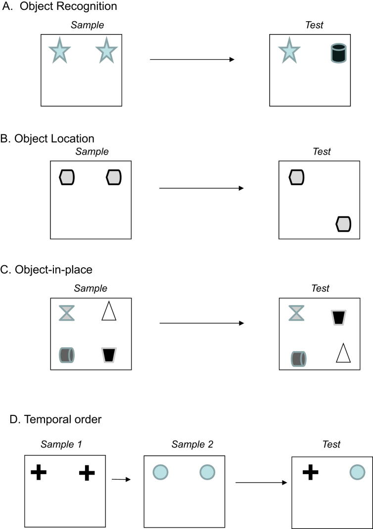 Fig. 1