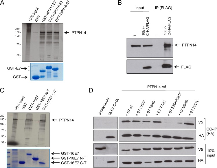 FIG 1