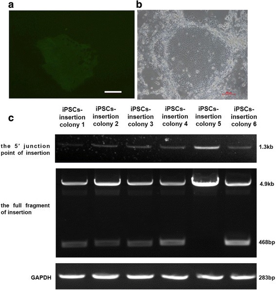 Fig. 3