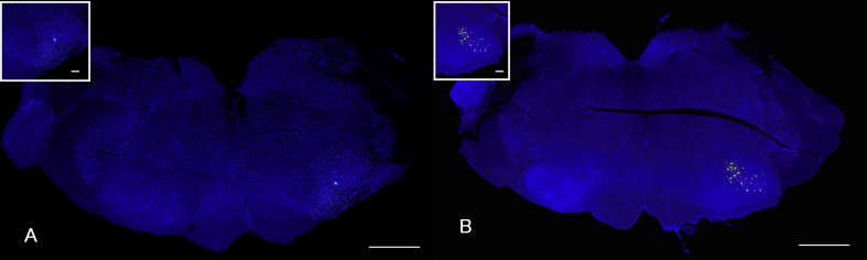 Fig. 6