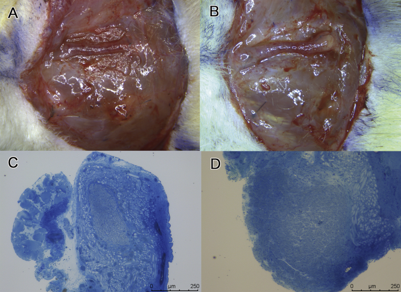 Fig. 7