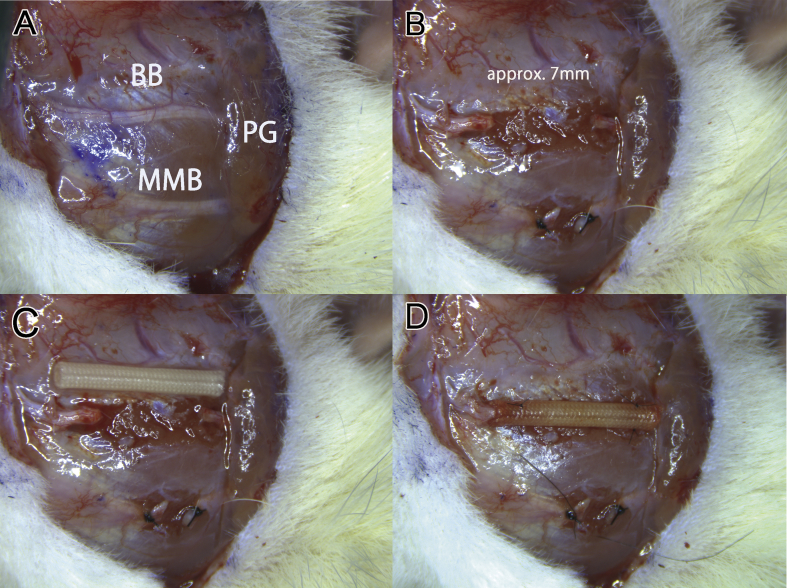 Fig. 2