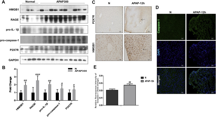 FIGURE 6