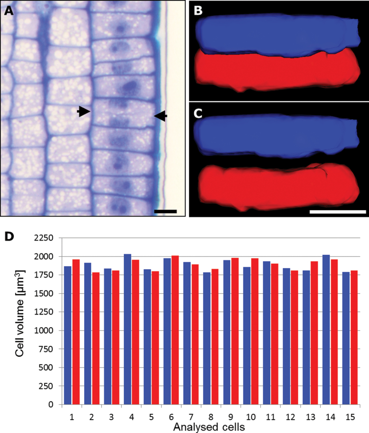 Fig. 6.