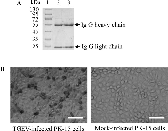 Fig 8