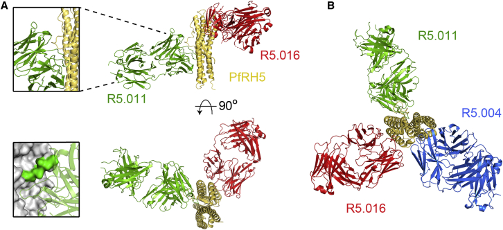 Figure 6