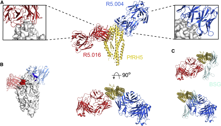 Figure 4