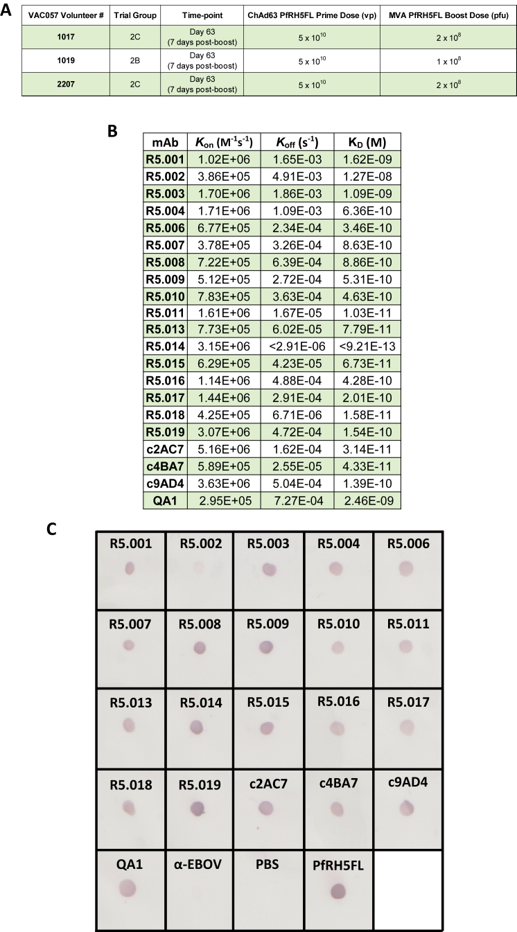 Figure S1