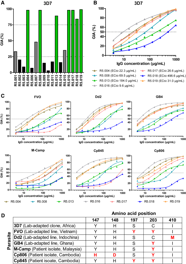 Figure 2