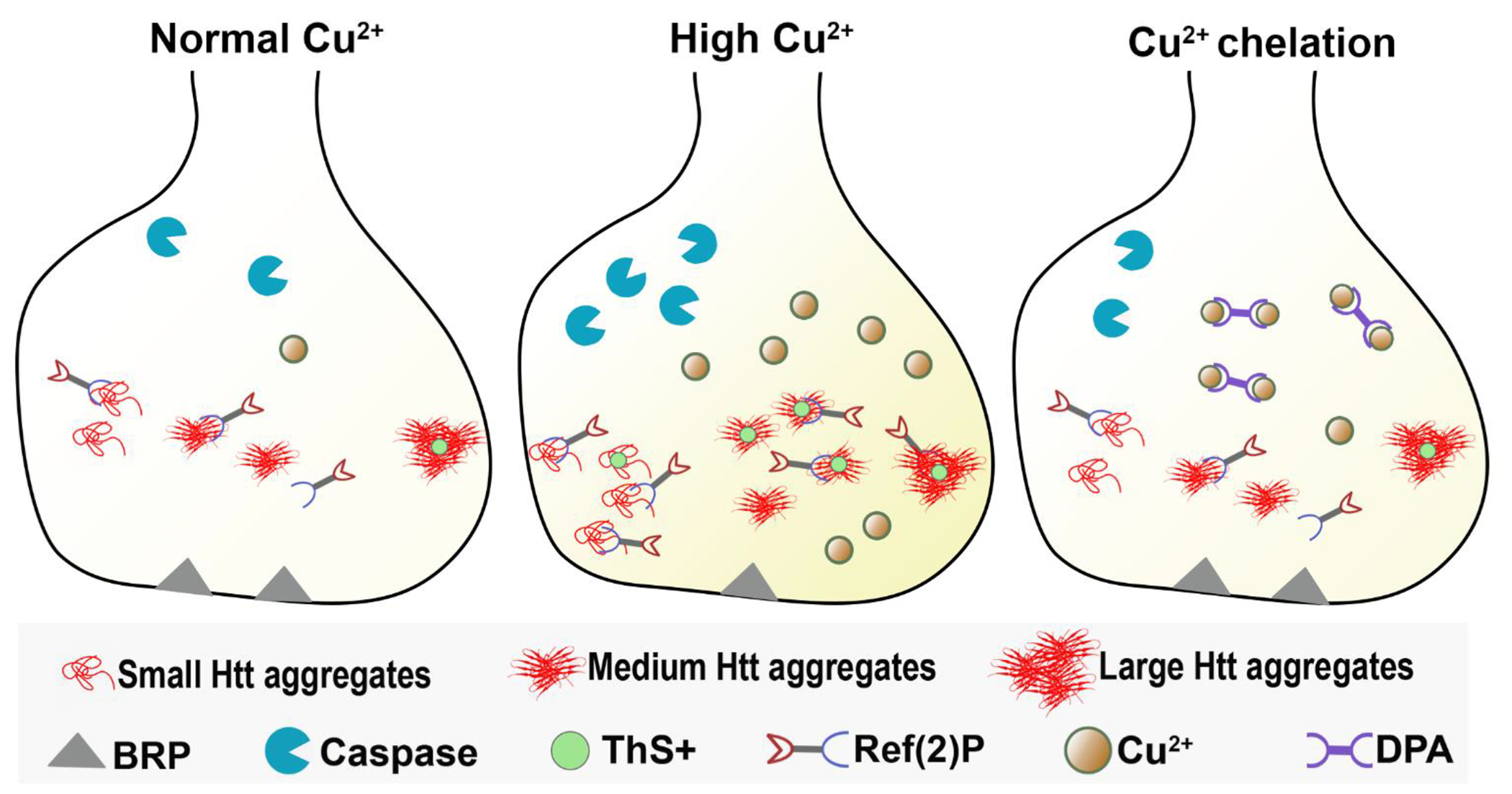 Figure 6: