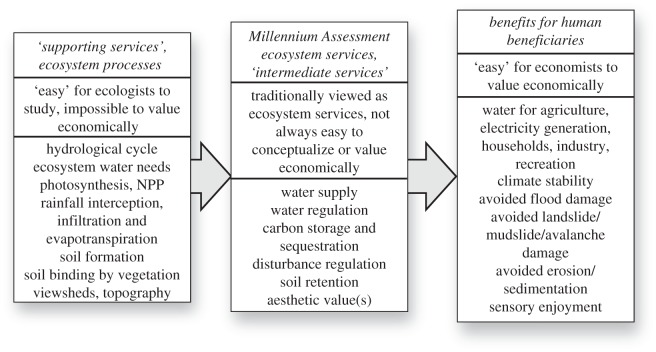 Figure 1.