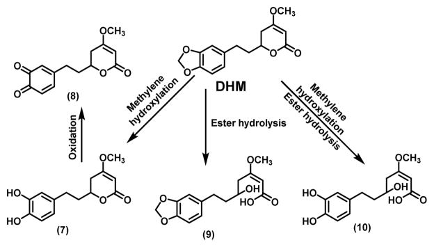 Scheme 2