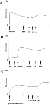 Fig. 3.