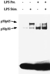 FIG. 5