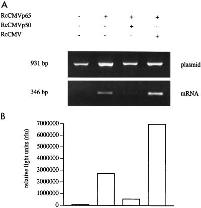 FIG. 7