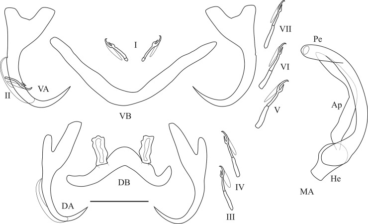 Fig 13