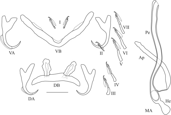 Fig 12