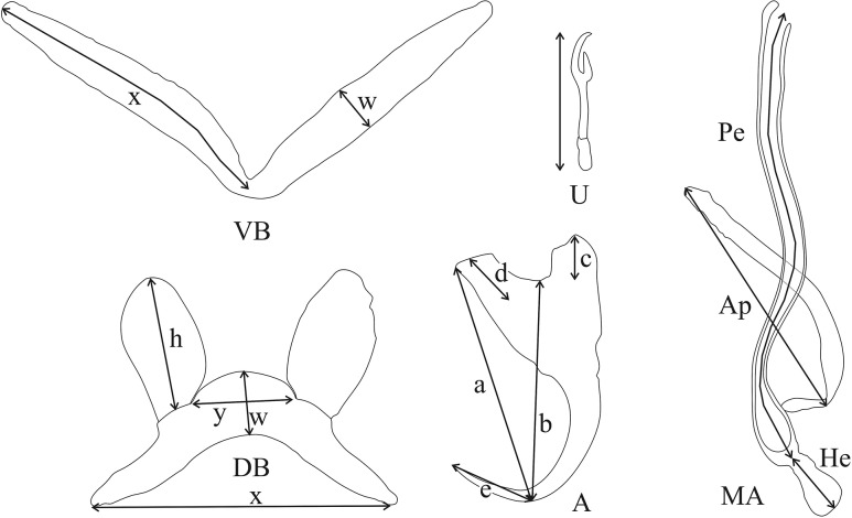 Fig 1