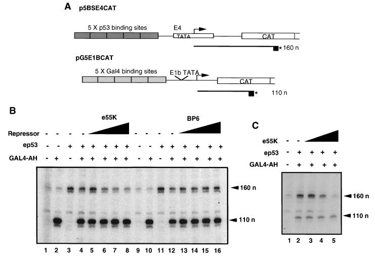 FIG. 8