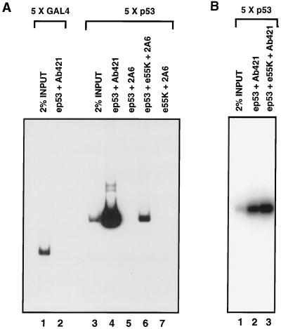 FIG. 6