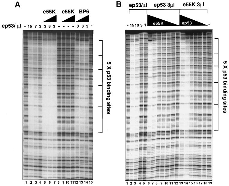 FIG. 7