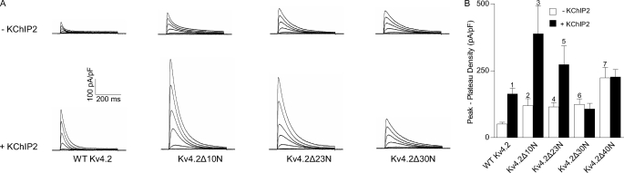 FIGURE 4.