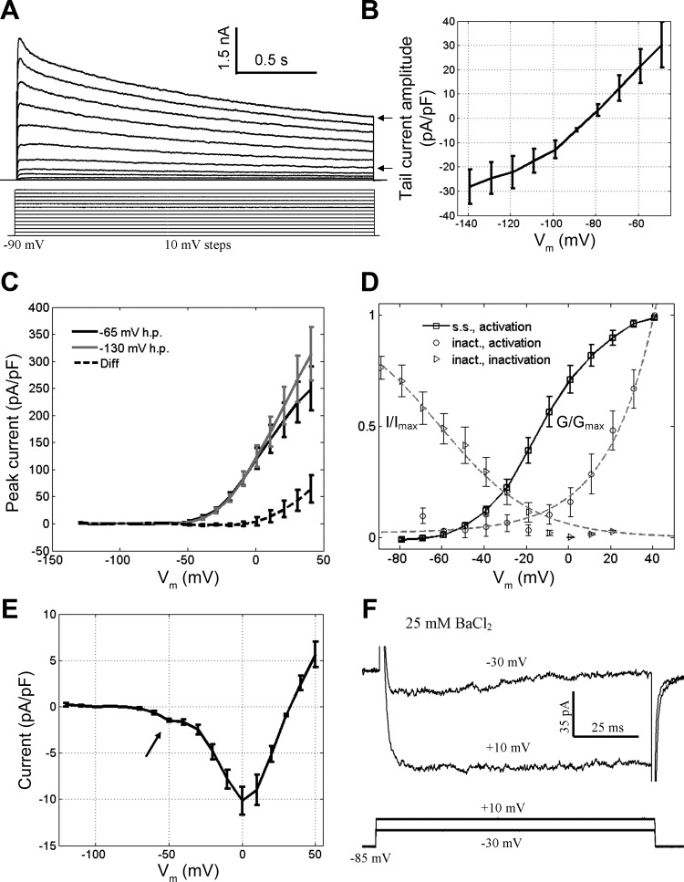 Fig. 6.