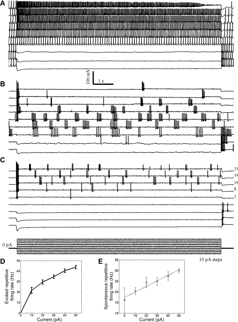 Fig. 3.