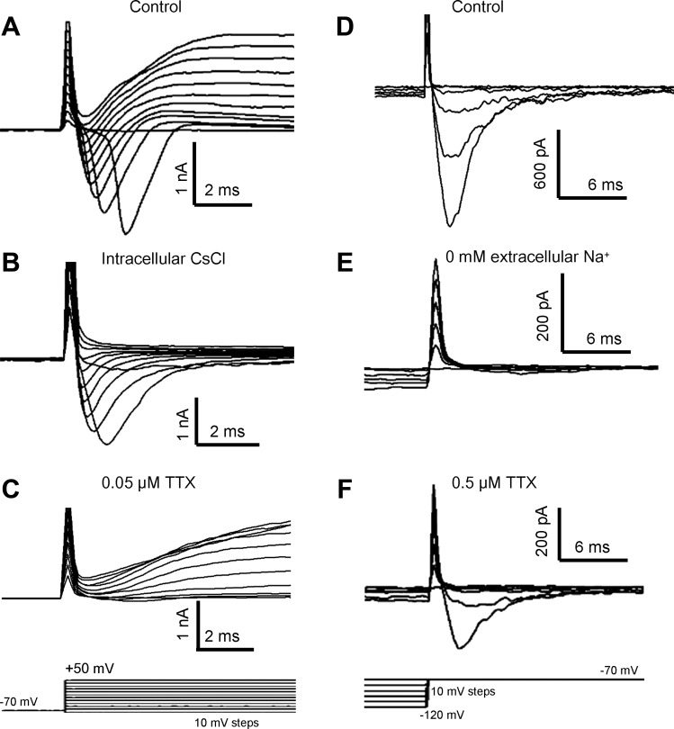 Fig. 4.