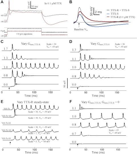 Fig. 8.