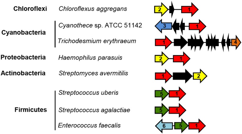 Figure 2.