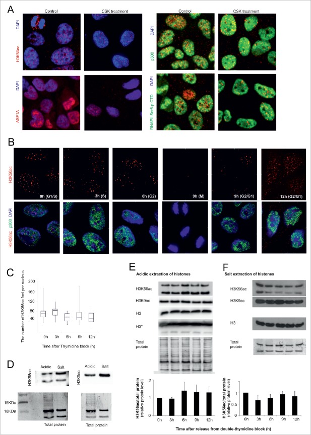 Figure 4. (see previous page)