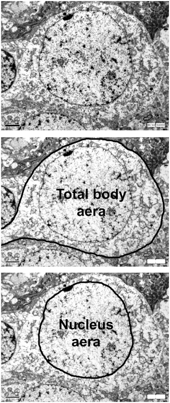 Figure 1.