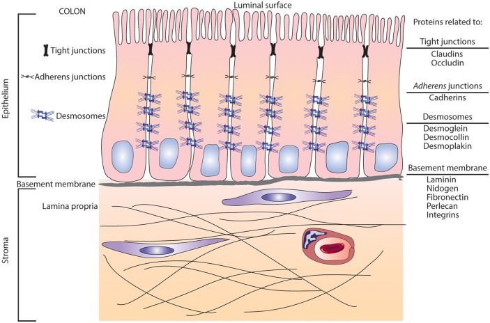 Fig 7