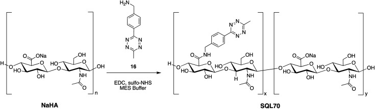 Scheme 5