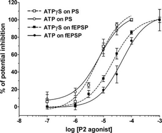 Fig. 6