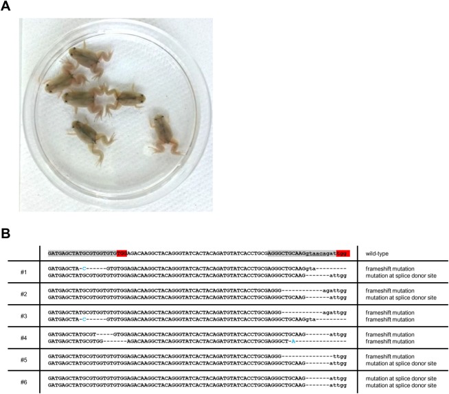 Fig. 6.