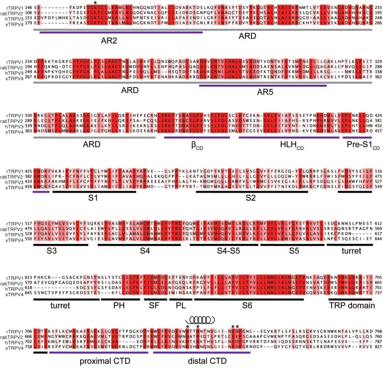 Figure 5—figure supplement 1.