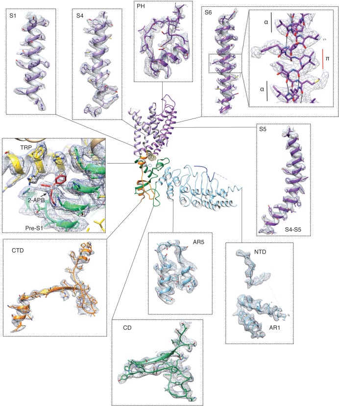 Figure 4—figure supplement 2.