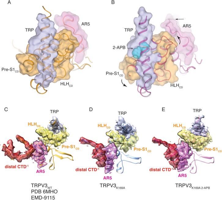 Figure 4—figure supplement 4.