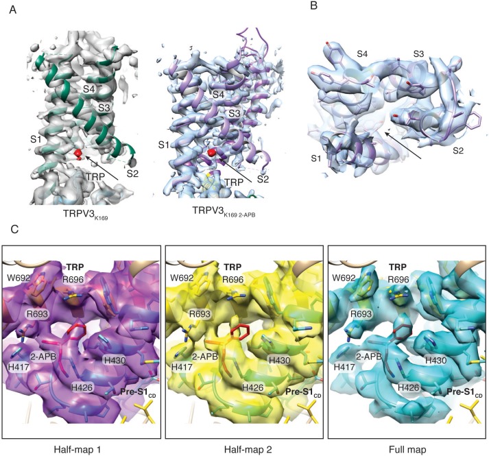 Figure 4—figure supplement 6.