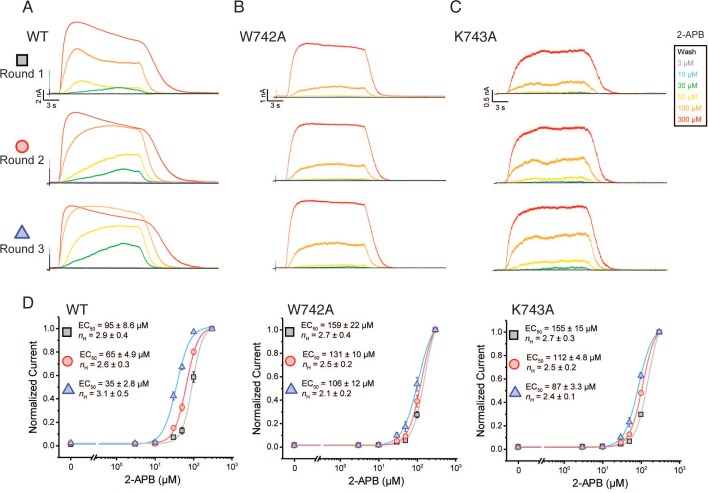 Figure 3—figure supplement 2.