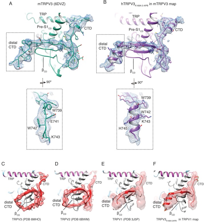 Figure 4—figure supplement 5.