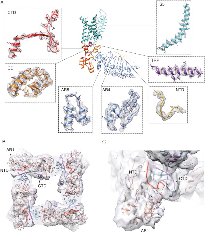 Figure 2—figure supplement 2.