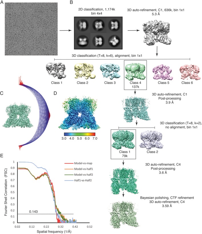 Figure 4—figure supplement 1.