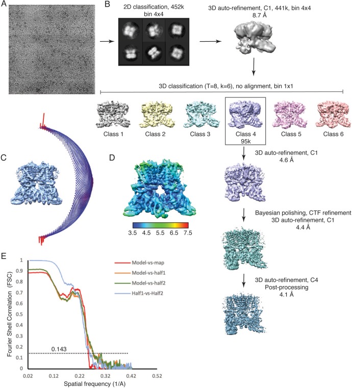 Figure 2—figure supplement 1.