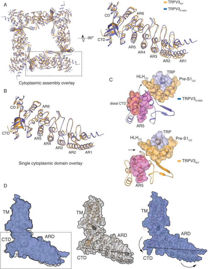 Figure 3—figure supplement 1.