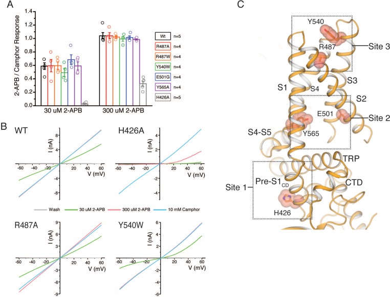 Figure 4—figure supplement 7.