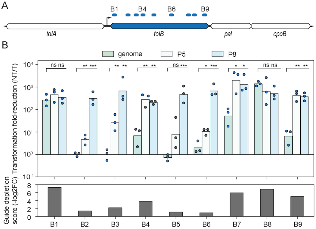 Figure 4.