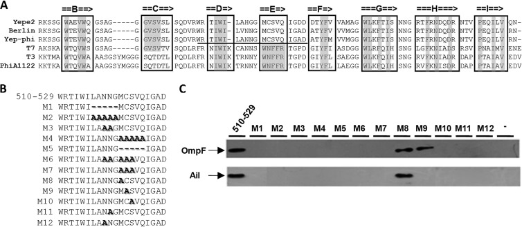 Fig 5